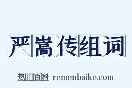 严嵩传组词是什么意思的图片